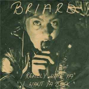 Briard - I Really Hate Ya flac