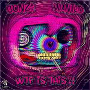 Gonzi & Wanted - WTF Is This flac