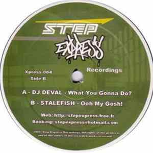 DJ Deval / Stalefish - What You Gonna Do? / Ooh My Gosh! flac