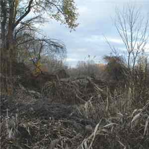 ZimmerFrei - Positions flac