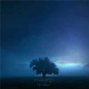 Haarp - Husks flac