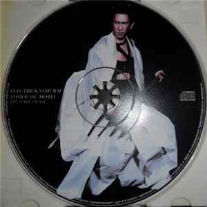 Tomoyasu Hotei - Electric Samurai flac