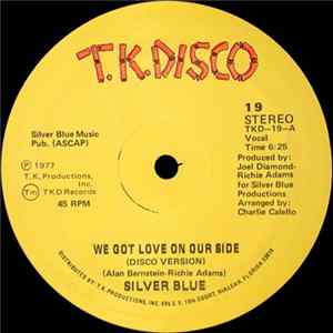 Silver Blue - We Got Love On Our Side flac