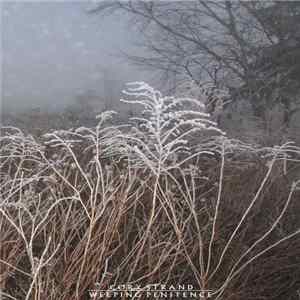Cory Strand - Weeping Penitence flac