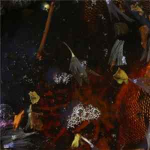 Philippe Petit & Friends - On Top flac