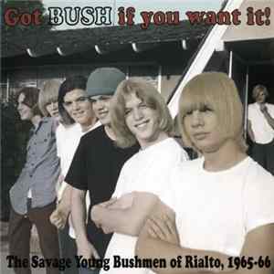 The Bush - Got Bush If You Want It! flac