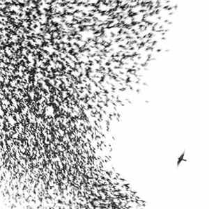 Wilco - Sky Blue Sky flac