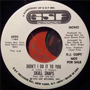 Skull Snaps - Didn't I Do It To You flac