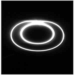 S U R V I V E - LT019 flac