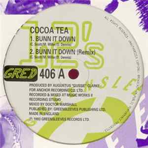 Cocoa Tea - Bunn It Down flac