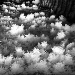 Icehaus - Ithaca flac