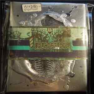 NP Vs. Thirdorgan - NP Vs. Thirdorgan Ver.1 flac