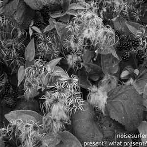 Noisesurfer - Present? What Present? flac