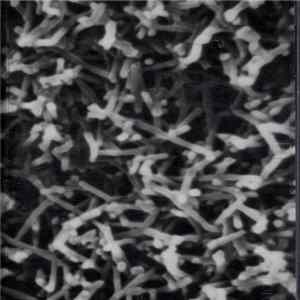 Harm - Everything Turns Out To Be A Triangle Of Death flac