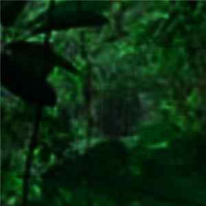 SG - Untitled flac