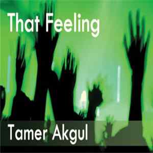 Tamer Akgul - That Feeling flac