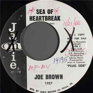 Joe Brown - Sea Of Heartbreak flac