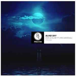 DMH & Faure Ft. Erin Marshall - Blind Sky flac