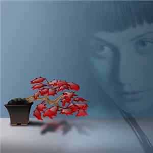 Pablo Roma - Sad Flowers (Remixes) flac