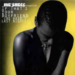 Me'Shell NdegéOcello - If That's Your Boyfriend (He Wasn't Last Night) flac