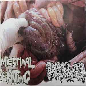 Intestinal Bloating / Dissolved - Intestinal Bloating / Dissolved flac