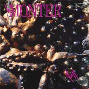 BurMonter - Fell flac
