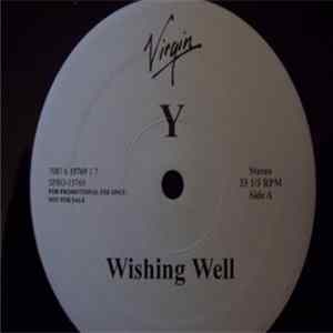 Y - Wishing Well flac
