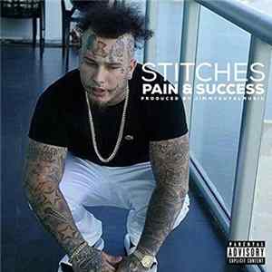 Stitches - Pain And Success flac