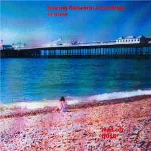 Various - Fencing Flatworm Recordings - In Brine flac