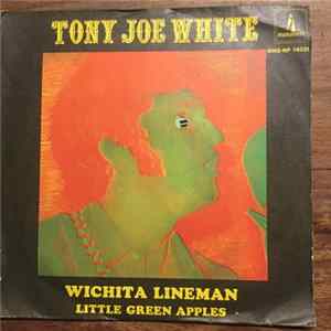 Tony Joe White - Wichita Lineman flac