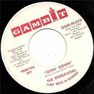 The Endeavors - Goin' Down / Stereo flac