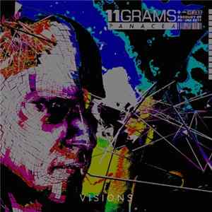 11grams - Visions flac