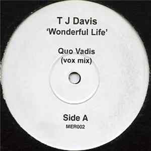 T J Davis - Wonderful Life flac