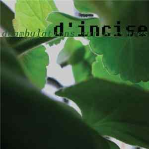 D'incise - Déambulations Sur Nervures flac