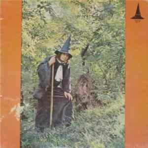 Gandalf The Grey - The Grey Wizard Am I flac