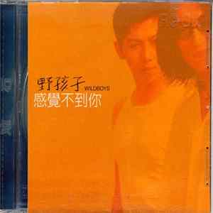 野孩子 = Wildboys - 感覺不到你 flac