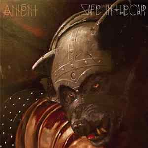 Ament - Safe In The Car flac