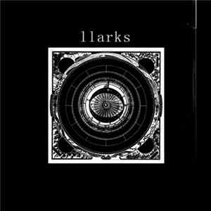 Llarks - Through The Sun flac