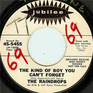 The Raindrops - The Kind Of Boy You Can't Forget flac