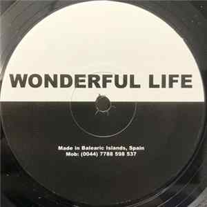 Unknown Artist - Wonderful Life (Funky House Remix) flac