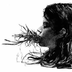 Parenthetical Girls - Entanglements flac