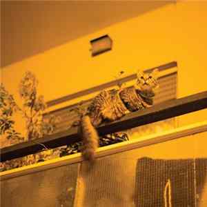 Sam Prekop - The Republic flac