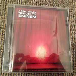 The United State Of Hip Hop - A Real Shady Tribute To Eminem flac