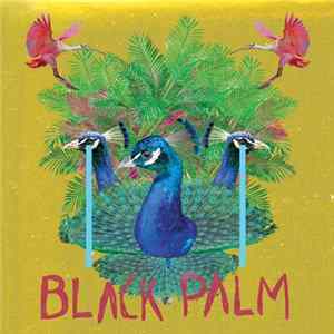 Vertical - Black Palm flac