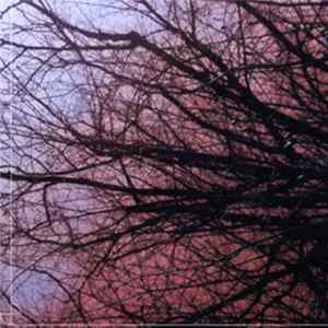 Ekca Liena - Slow Music For Rapid Eye Movement flac