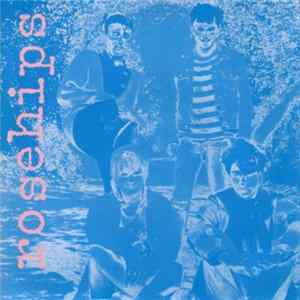 The Rosehips - I Shouldn't Have To Say flac