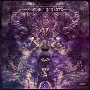 Various - Shamanic Moments flac