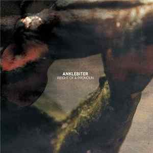 Anklebiter - Weight Of A Pronoun flac