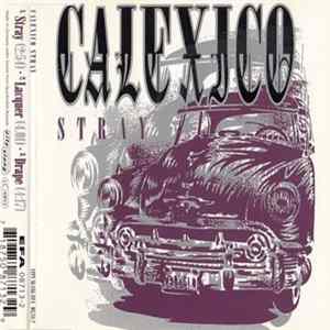 Calexico - Stray flac