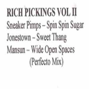 Various - Rich Pickings Vol II flac